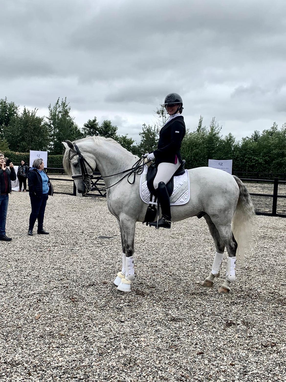 Lusitano Gladiador billede 19