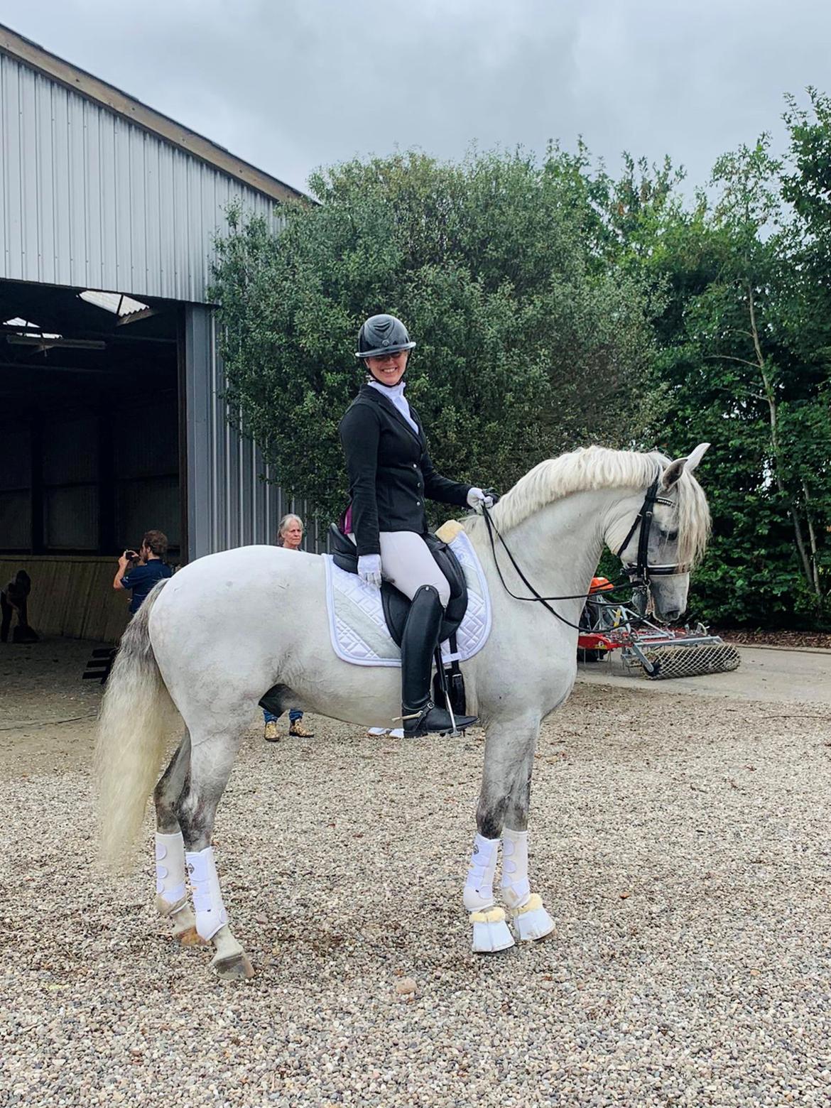 Lusitano Gladiador billede 18