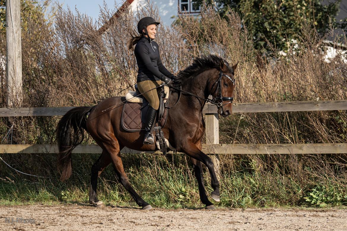 Anden særlig race Mosedalens La Prima billede 1