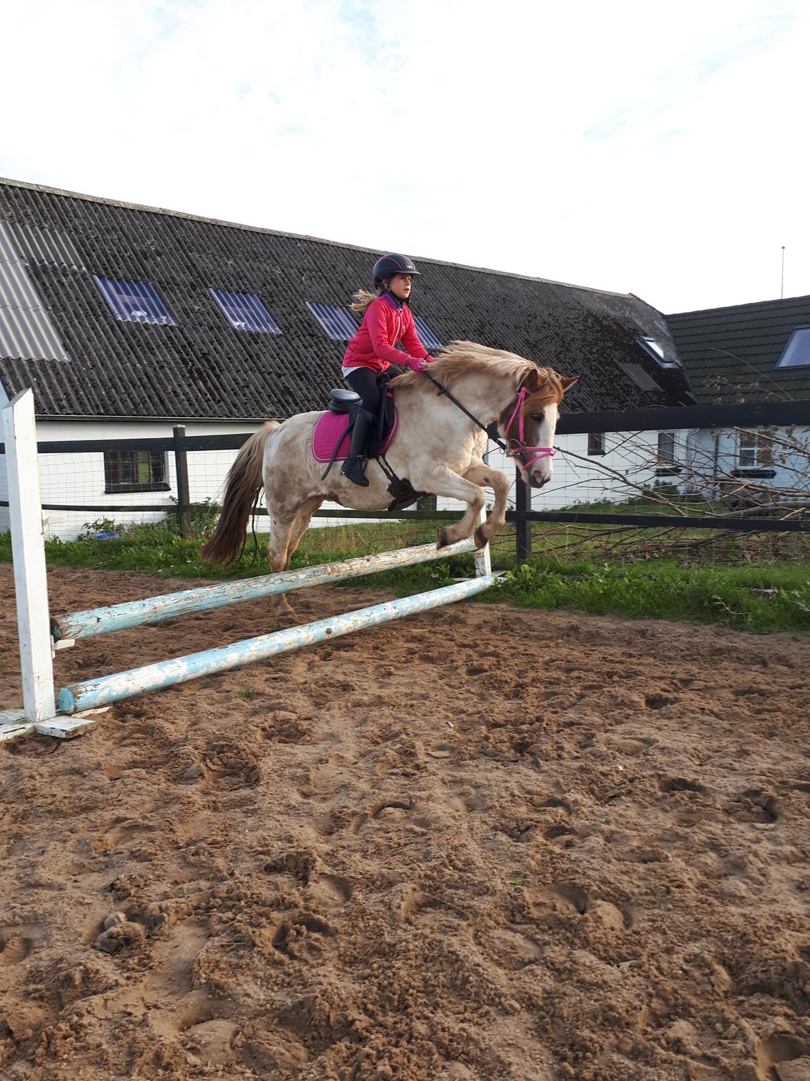 Anden særlig race Line - 16. oktober 2021 billede 19
