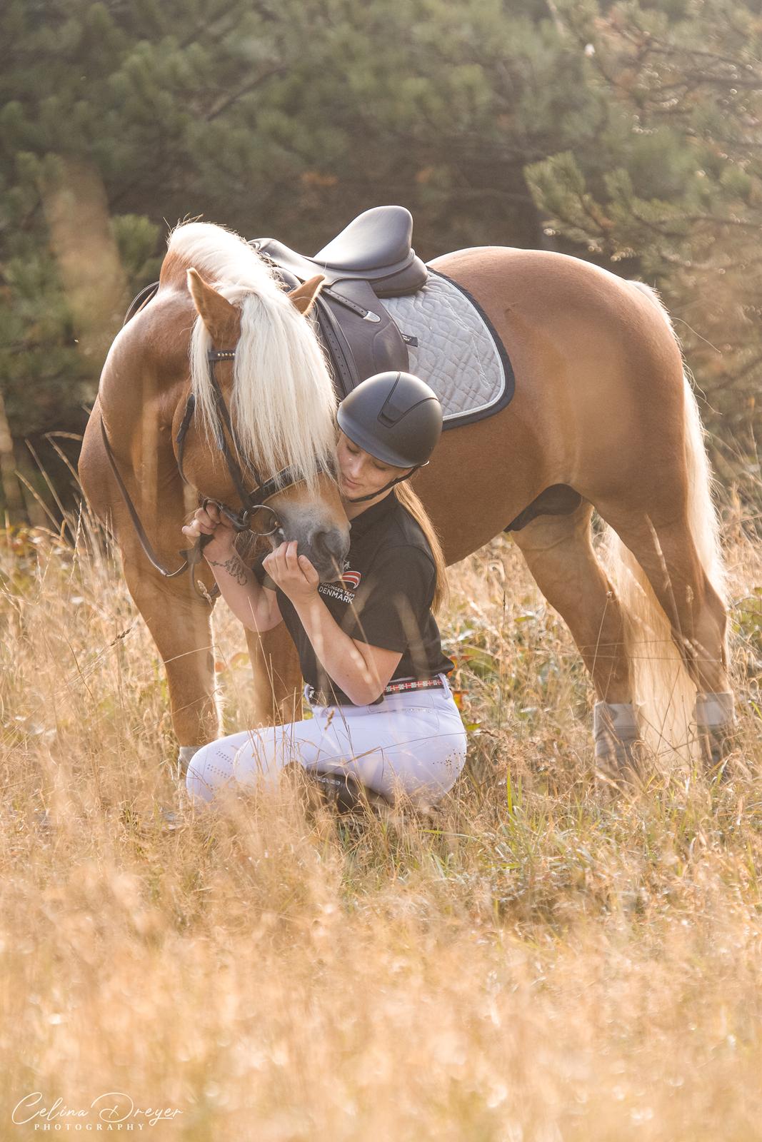 Haflinger Stroller - Celina Dreyer Photography 2021 billede 2