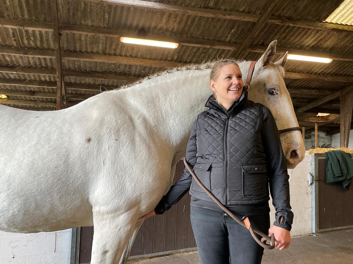 Knabstrupper Sanders Belinda billede 13