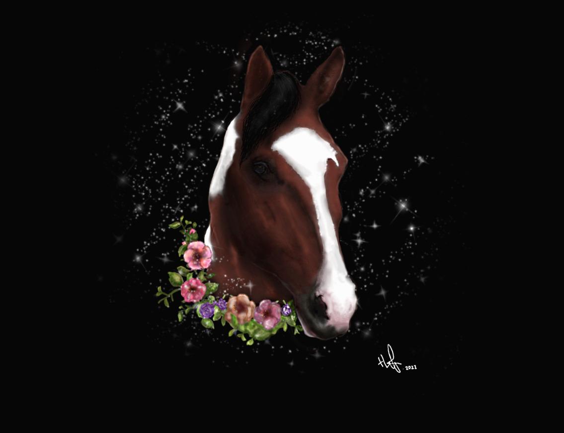 Pinto Luke - Portræt af Luke tegnet af mig billede 2