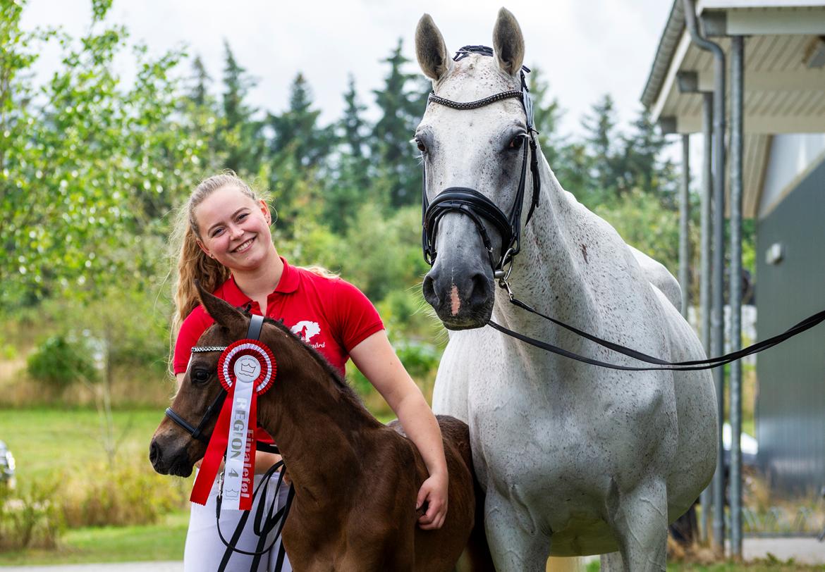 Dansk Varmblod Majenborgs Odessa Green - Dessa - Finale føl reg. 4. 2021 billede 9