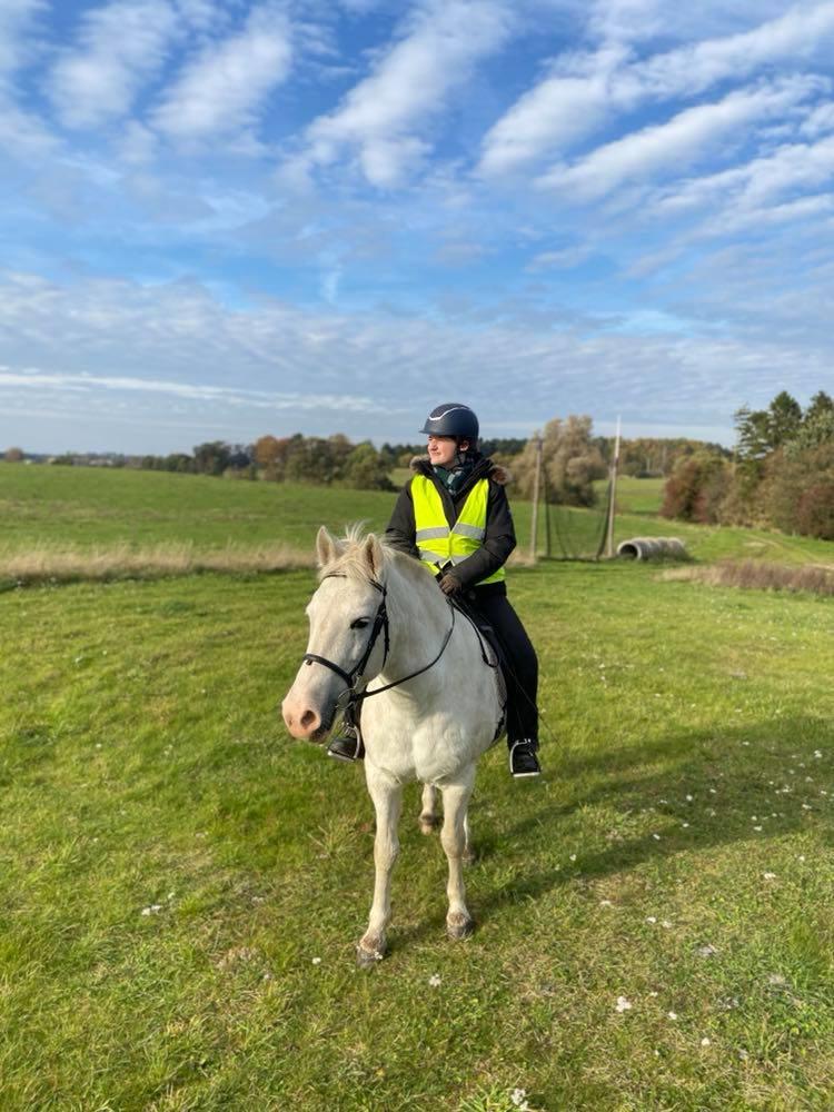 DSP Tranholms Maici billede 5