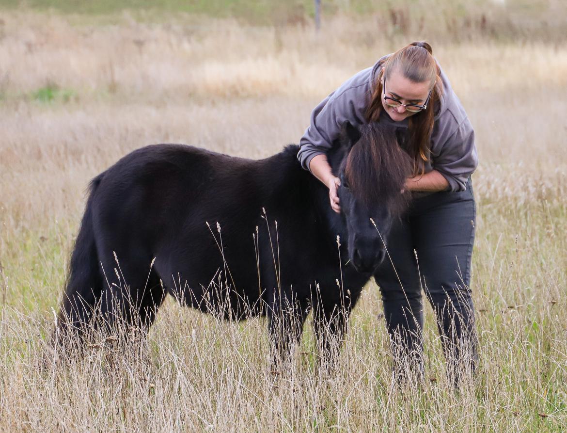 Anden særlig race Turn and burn  billede 11