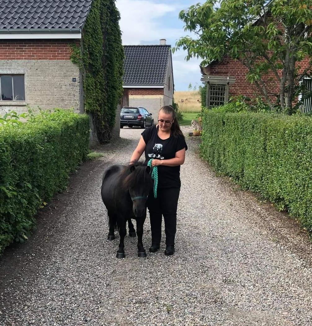 Anden særlig race Turn and burn  billede 14