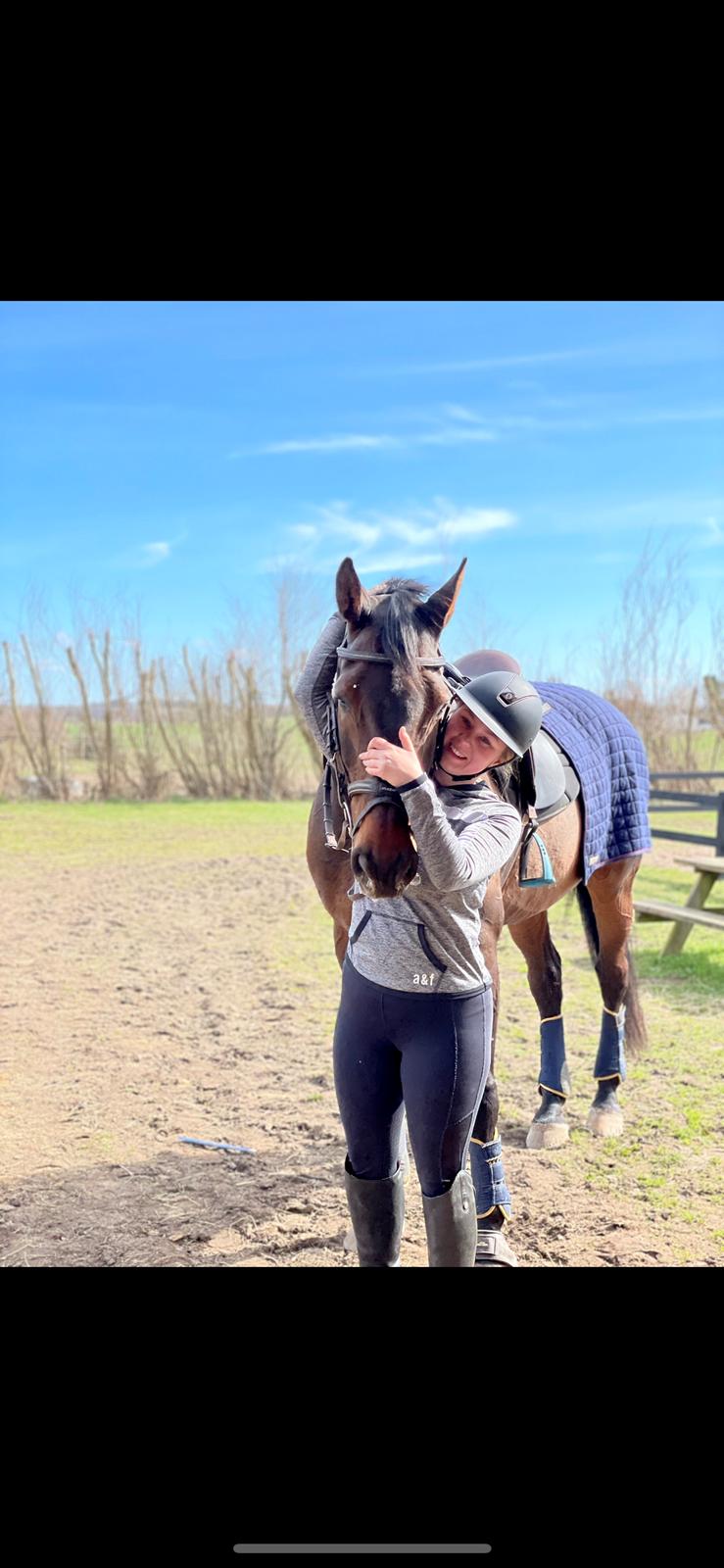 Holstener Corradino billede 19