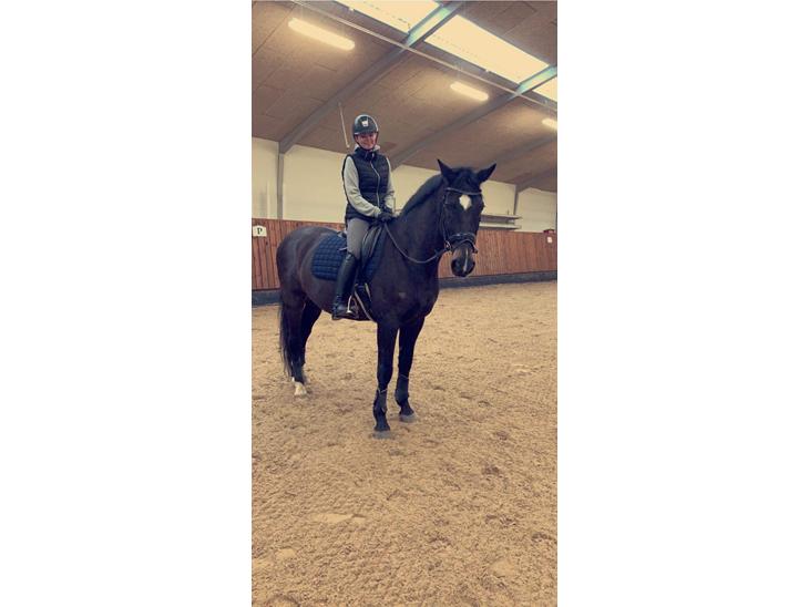 {{currentPhoto.altText}} billede {{currentPhoto.number}}