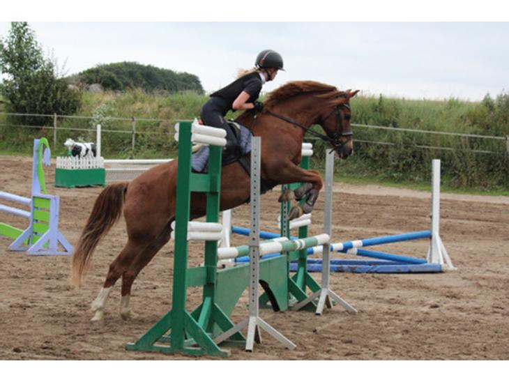 {{currentPhoto.altText}} billede {{currentPhoto.number}}