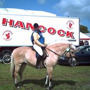 Fjordhest Rikke *død*