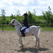 Anden særlig race milton