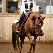 Anden særlig race Rainstorm Pahantho
