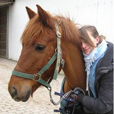 Anden særlig race Sebastian