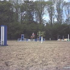 Anden særlig race °º• Frk Smilla •º°- SOLGT