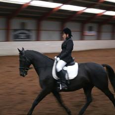 Anden særlig race Masetto