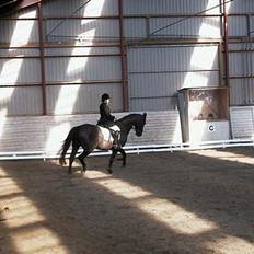 Anden særlig race Masetto