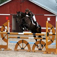 Anden særlig race Locksley