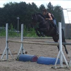 Anden særlig race Locksley