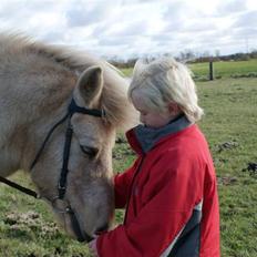 Islænder Lisa Fra Tøsby Kro R.I.P.