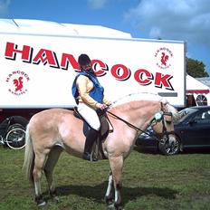 Fjordhest Rikke *død*