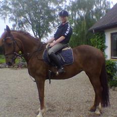 Frederiksborg Flicka