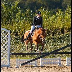 Anden særlig race Zarahby