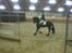 Frieser Dirk Jan K. STER - Lidt dårligt billede fra da han aflegde rideprøve ved hingstekåringen i Holland.. Det er Ingeborg Meijer fra Staldhoudereij der er i sadlen..