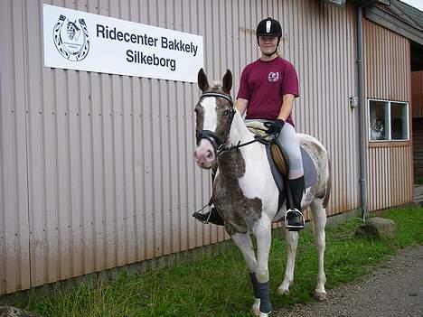 Pinto Mathilde - Foran vores hal :) Fotograf: Kimie eller Jeanette billede 20