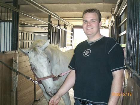 Knabstrupper Ziggie Stardust billede 13