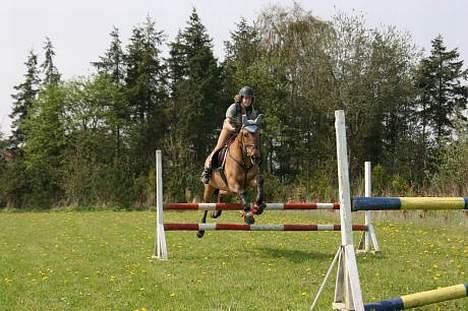 Anden særlig race °º• Frk Smilla •º°- SOLGT billede 3