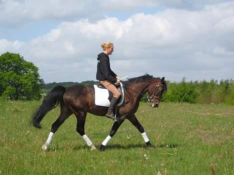 Anden særlig race flint"død" - driller lige christel lidt billede 7