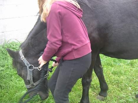 Anden særlig race Late (DØD) - Og op igen fra græsset så vi kan få et billede billede 4