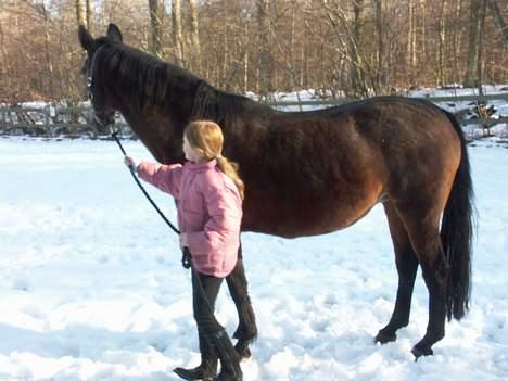 Anden særlig race Duet (DØD) - Tror at skønhedden har fået øje på noget.... billede 2