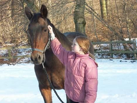 Anden særlig race Duet (DØD) - Skal vi ikke snart videre... jeg falder jo helt i søvn.... billede 5