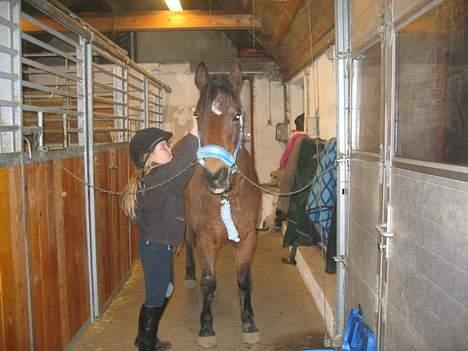 DSP MILAN - Mig & Milan ! billede 19