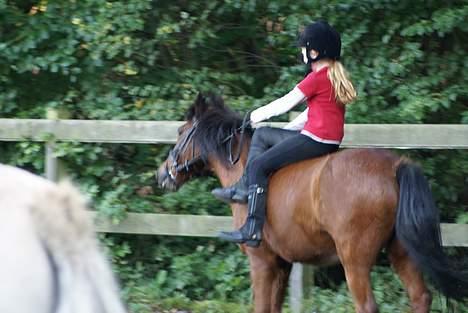 Anden særlig race Fonzy (DØD) - Og lidt trav i dame sadel, det er sjovt hehe billede 12