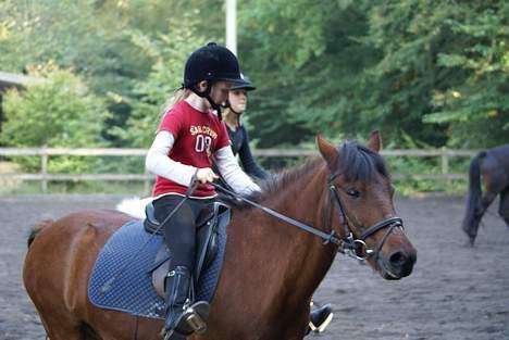 Anden særlig race Fonzy (DØD) - Fonzy og mig  billede 13