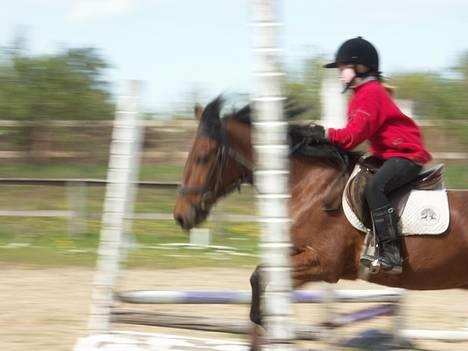 Anden særlig race Fonzy (DØD) - Og over billede 15