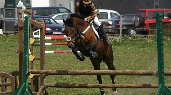 Anden særlig race Kurt ( Urt ) - Kurt og Marie til stævne billede 2