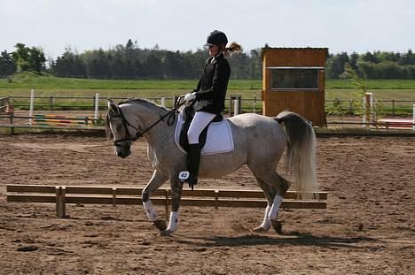 DSP Apollonia <3 - igen til vores stævne billede 11