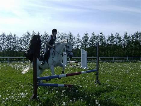 Anden særlig race Ronja SOLGT - springer med malene igen billede 6