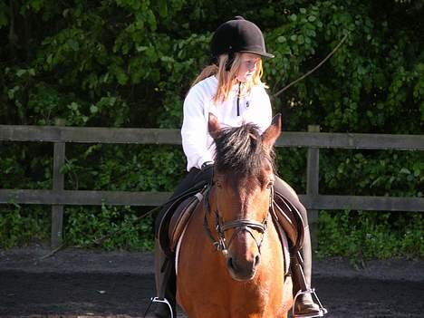 Anden særlig race Fonzy (DØD) - Osse mig og Fonzy billede 19