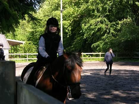 Anden særlig race Fonzy (DØD) - Dejligt med noget skygge hehe billede 20