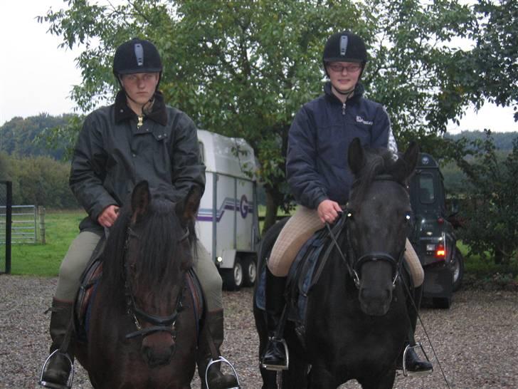 New Forest Åbakkens Mayfield SOLGT - Tur med min lillebror og Odessa. billede 13