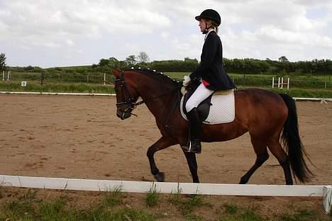 New Forest alina - til klub stævne BLR dressur 2plads, min hest var bare så sød den dag!!!!! C") billede 10