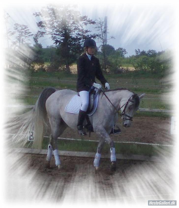 DSP Apollonia <3 - min dejlige Apollonia :) <33 billede 16