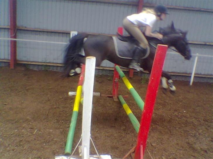 DSP Lady - Lady og jeg der springer en oxer til træning. Min søster tar billedet. billede 2