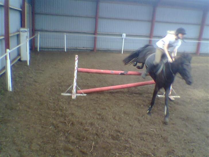 DSP Lady - Lady og mig til træning xD Blær blær <3 billede 4