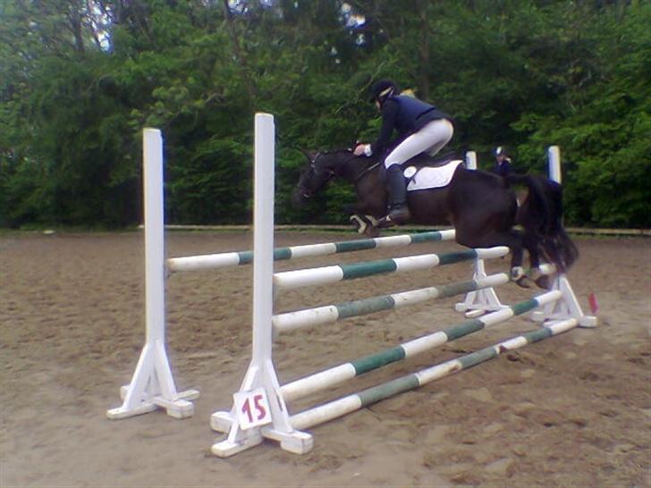 DSP Lady - Lady og mig der springer i Davinde. MB. billede 5